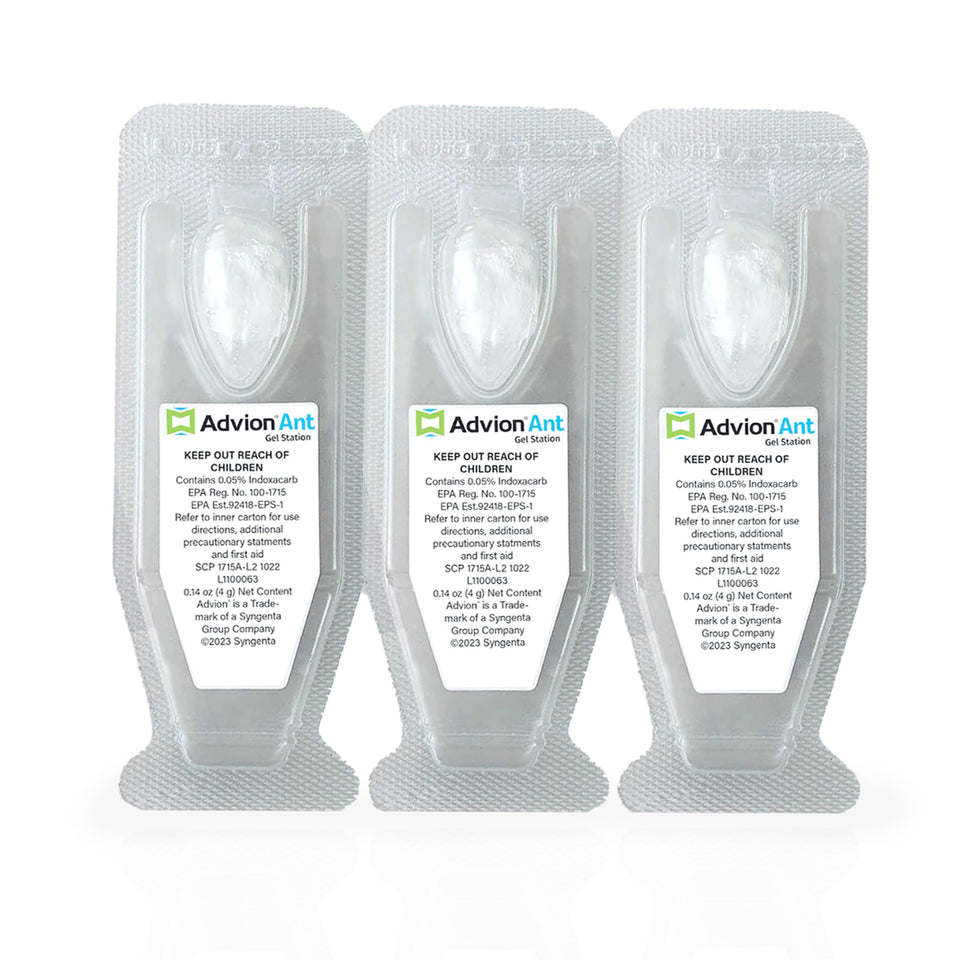 Advion ant gel station ready-to-use bait near a foraging trail for quick colony control