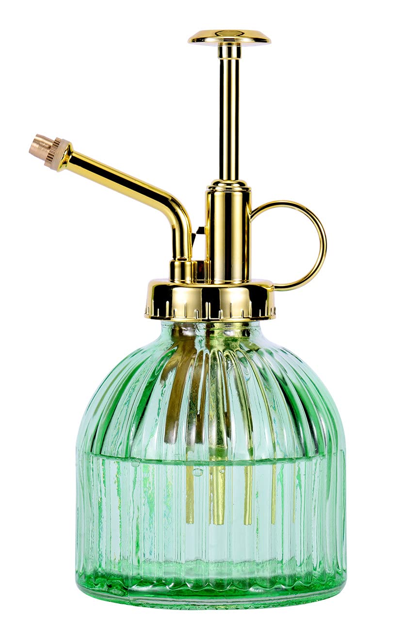 Aebor Glass Plant Mister bottle in green with a gold top for indoor plant care.