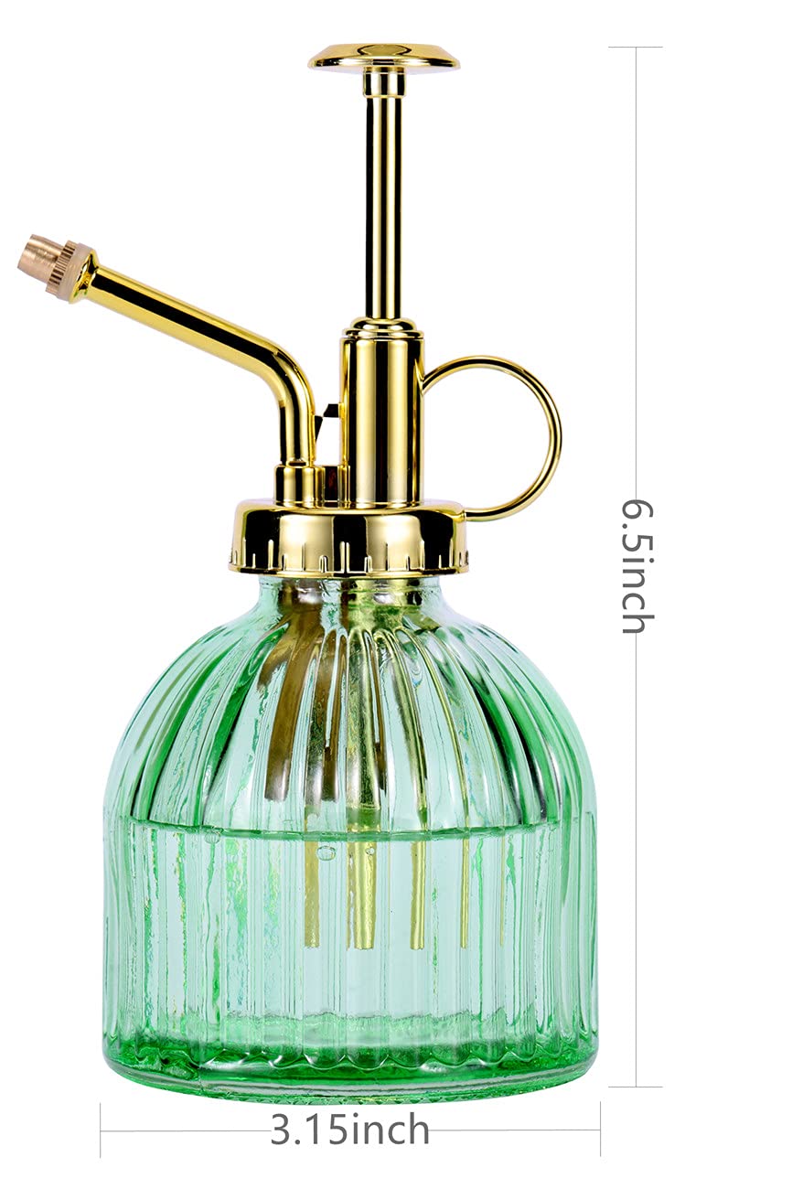Aebor glass plant mister with gold top pump ensures precise misting.