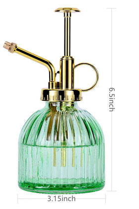 Aebor glass plant mister with gold top pump ensures precise misting.
