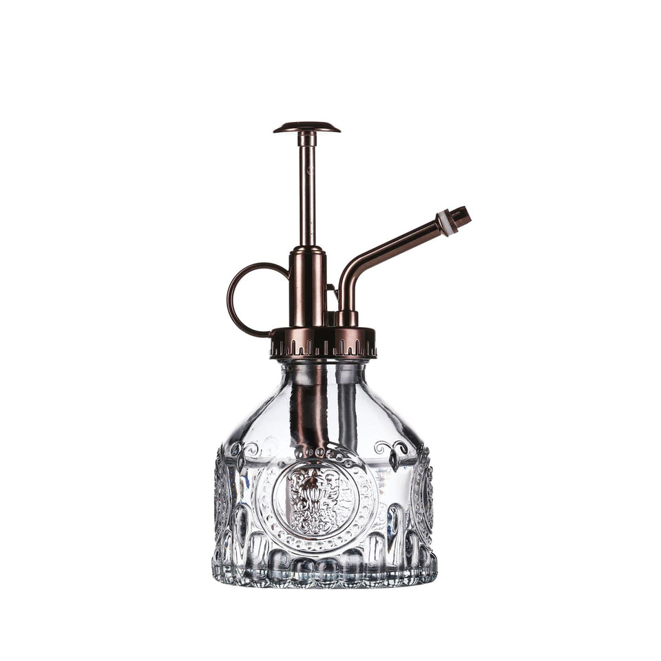 Aebor glass plant mister with gray bronze top pump for precise indoor watering
