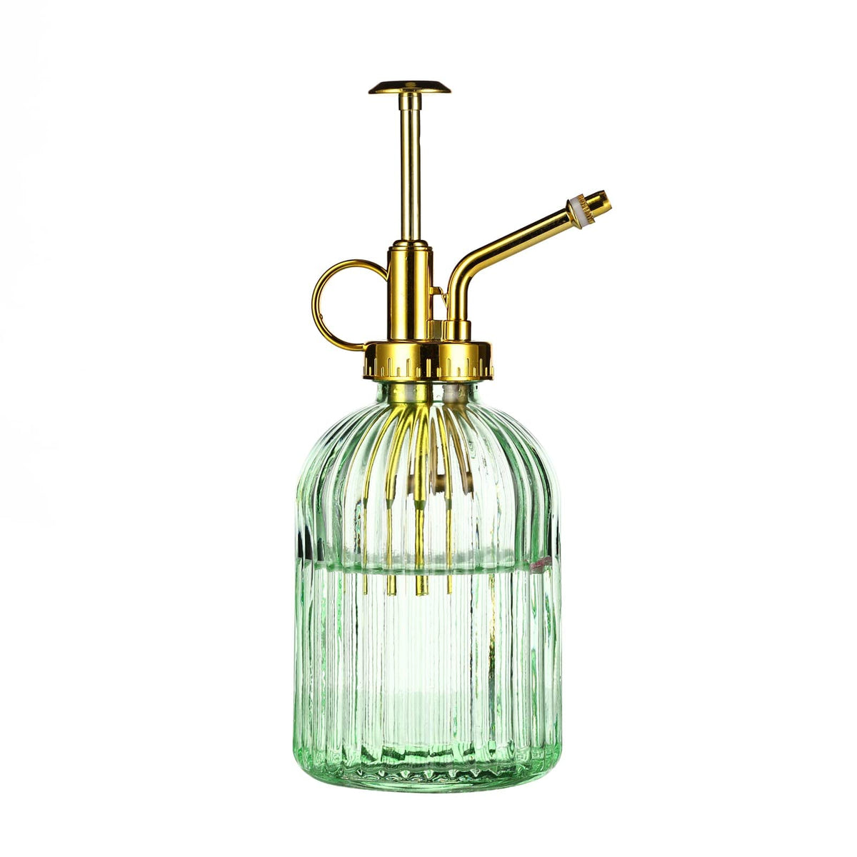 Aebor glass plant mister with green bottle demonstrates stylish indoor plant care