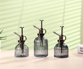 Aebor glass plant mister includes bottle and top pump for easy spraying