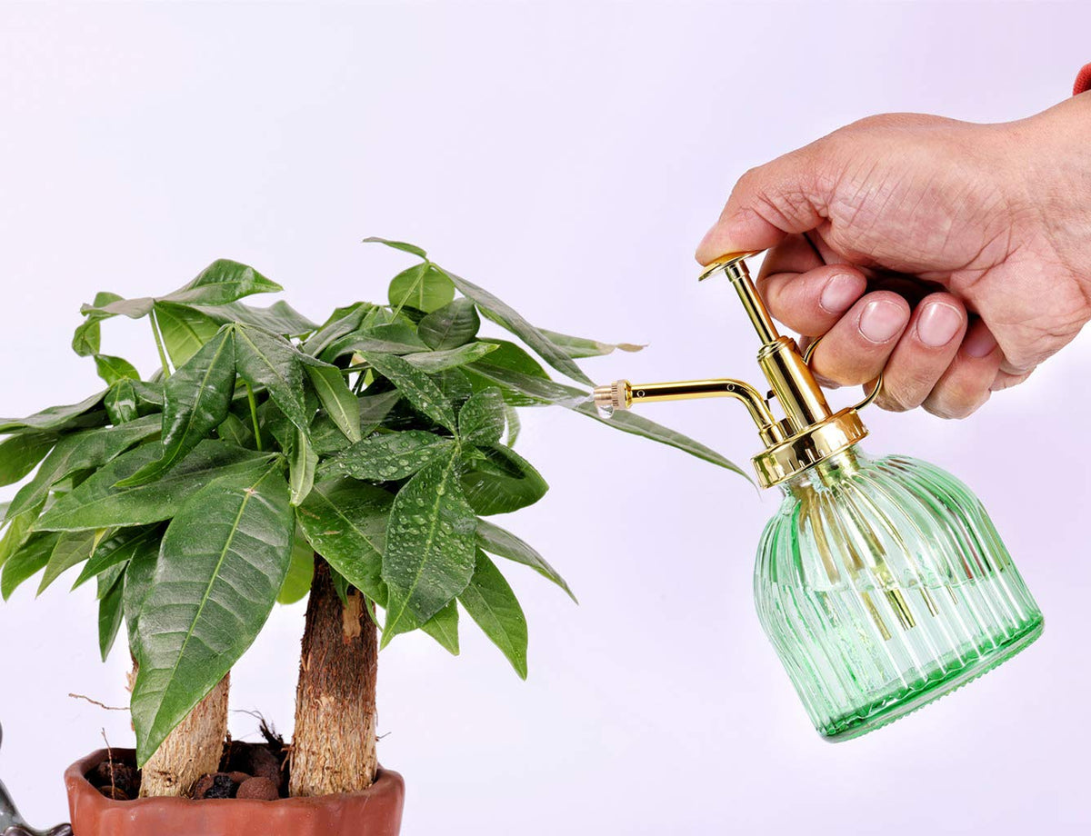 Aebor mist sprayer for indoor and outdoor watering tasks.