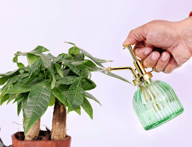 Aebor mist sprayer for indoor and outdoor watering tasks.