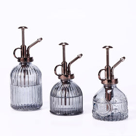 Aebor glass plant mister compact size suited for small plants