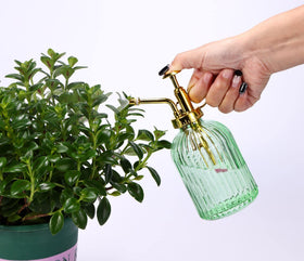 Aebor green-glass mist bottle offers decorative and refillable plant care