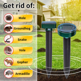 AECITY eight-pack setup for spaced backyard protection.