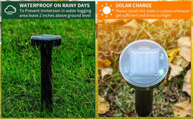 AECITY Eight stakes deliver wide yard coverage across lawns and gardens.
