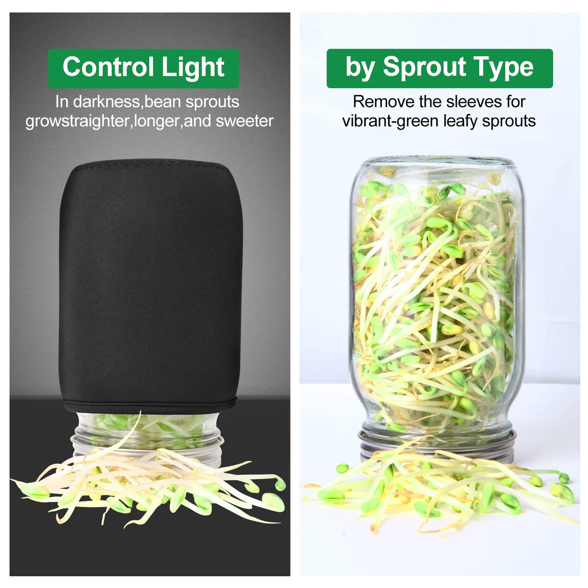 AeKahtay sprouting jar stand and drip tray keep jars stable