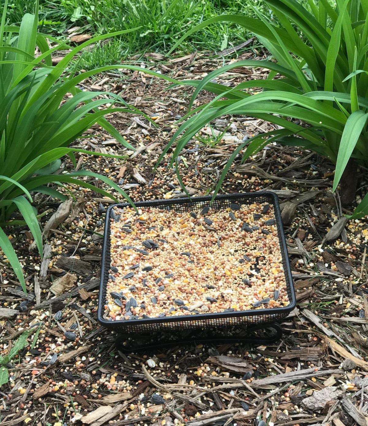 Aelean metal mesh seed holder supports stable placement in outdoor gardens.