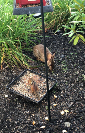 Aelean outdoor decor that also helps ground-feeding birds access seeds.