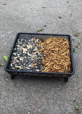 Aelean square feeder tray black outdoor decor enhances backyard wildlife viewing.