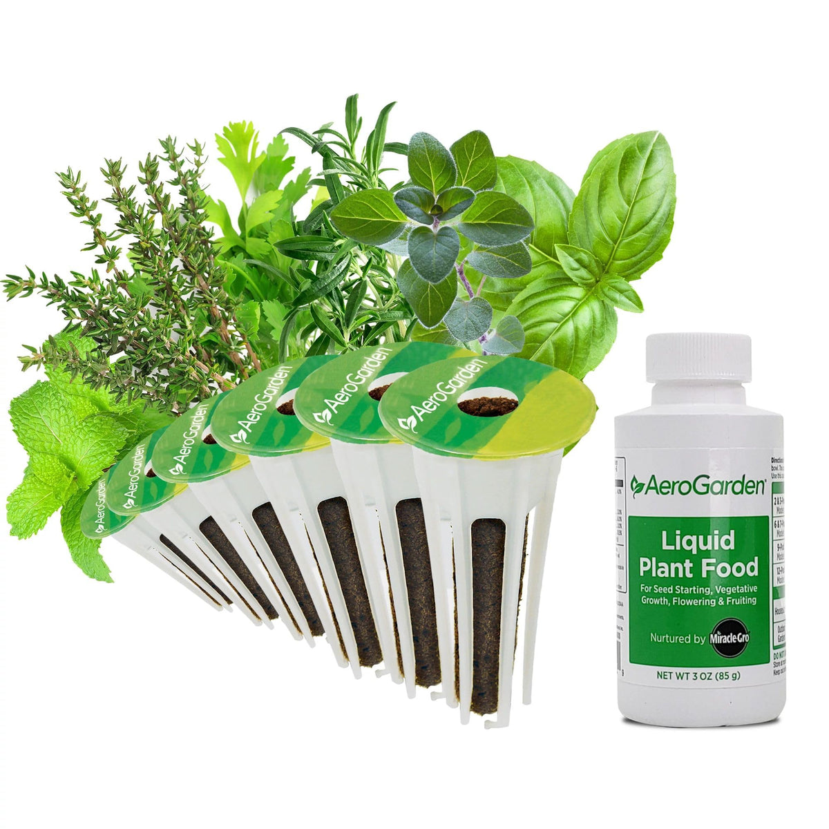 A AeroGarden Assorted Italian herb seed pod kit on a kitchen counter for year‑round fresh flavor.
