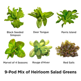 A compact AeroGarden countertop indoor garden ideal for year-round salads