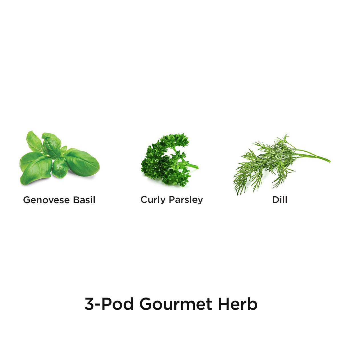 AeroGarden Gourmet Curly Parsley pod for year‑round garnish
