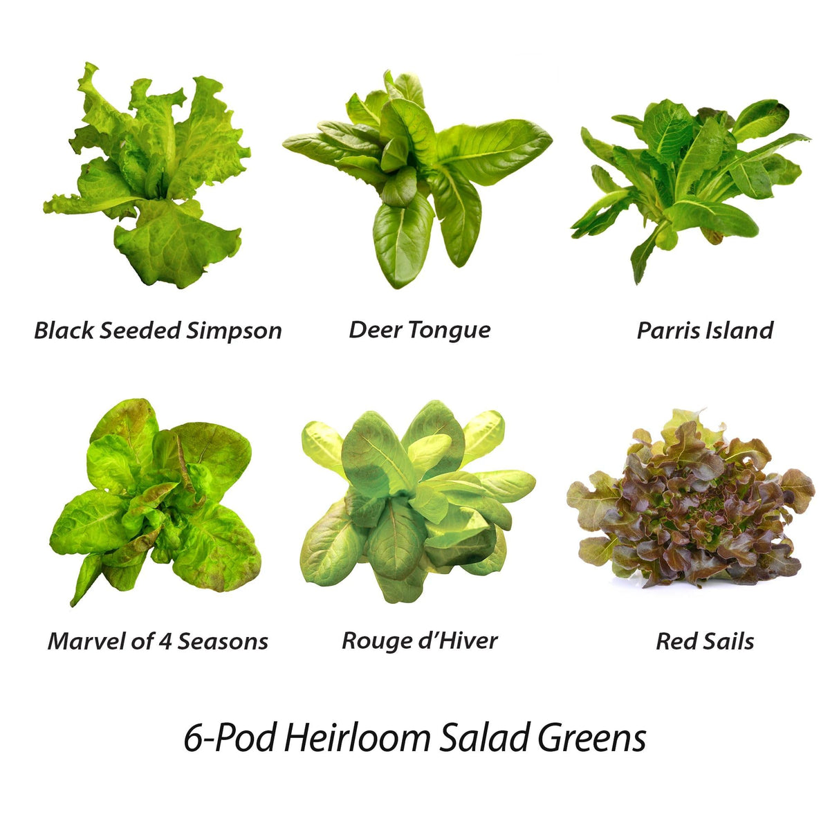 Compact kitchen counter with AeroGarden ready to grow romaine.