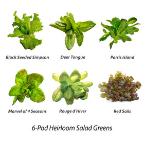Compact kitchen counter with AeroGarden ready to grow romaine.