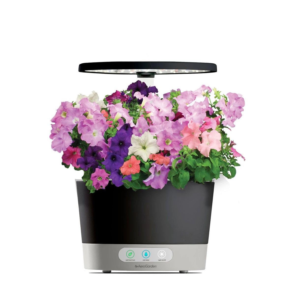 AeroGarden indoor space shows pink, purple, white cascades.