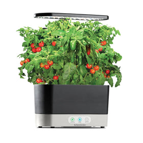 AeroGarden Liquid Nutrients bottle included to support steady growth.