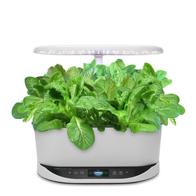 AeroGarden Mixed Romaine harvest ready for salads and toppings.