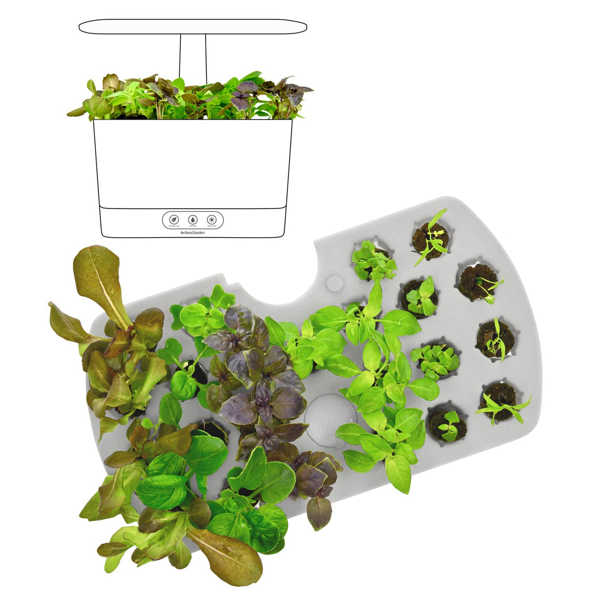 AeroGarden 3-oz plant food bottle supports steady growth