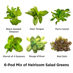 AereoGarden pre-seeded grow pods display highlighting quick, reliable germination.