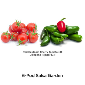 AeroGarden Red Heirloom Cherry Tomato pods growing for vibrant snacks.
