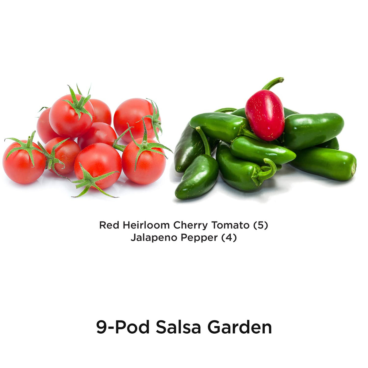 Red heirloom cherry tomato pods ready to fruit in your AeroGarden.