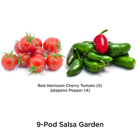 Red heirloom cherry tomato pods ready to fruit in your AeroGarden.