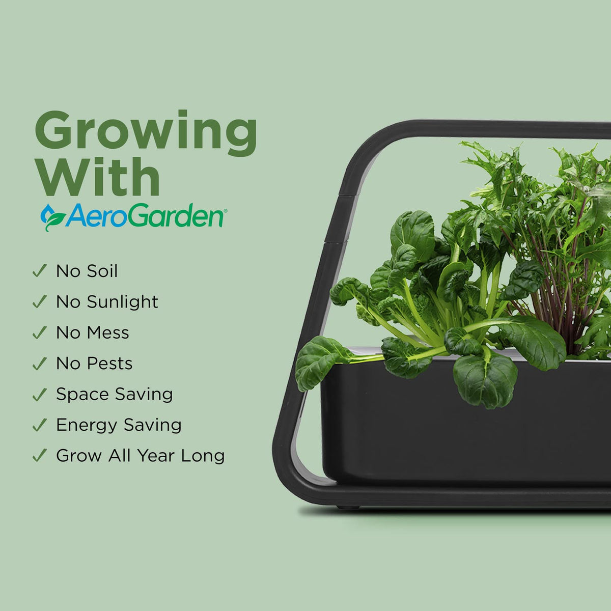 AeroGarden Sprout auto‑timer ensures lights operate at optimal times