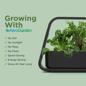 AeroGarden Sprout auto‑timer ensures lights operate at optimal times