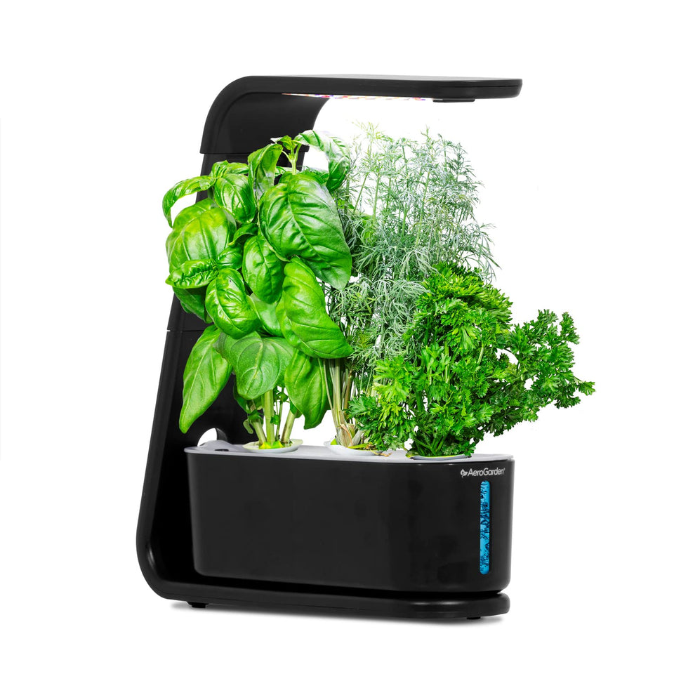 AeroGarden Sprout LED grow light hood powering a compact indoor garden for faster growth