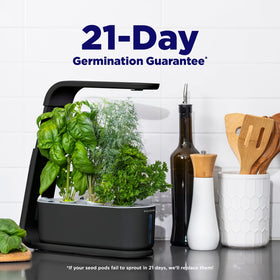 AeroGarden Sprout seed pod kit included helps start basil, parsley, or lettuce quickly