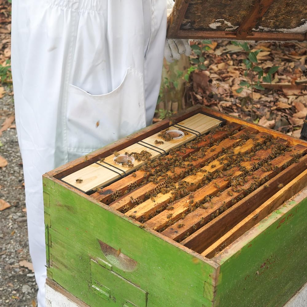 Aetwhy feeder installed inside a deep hive box for hive feeding