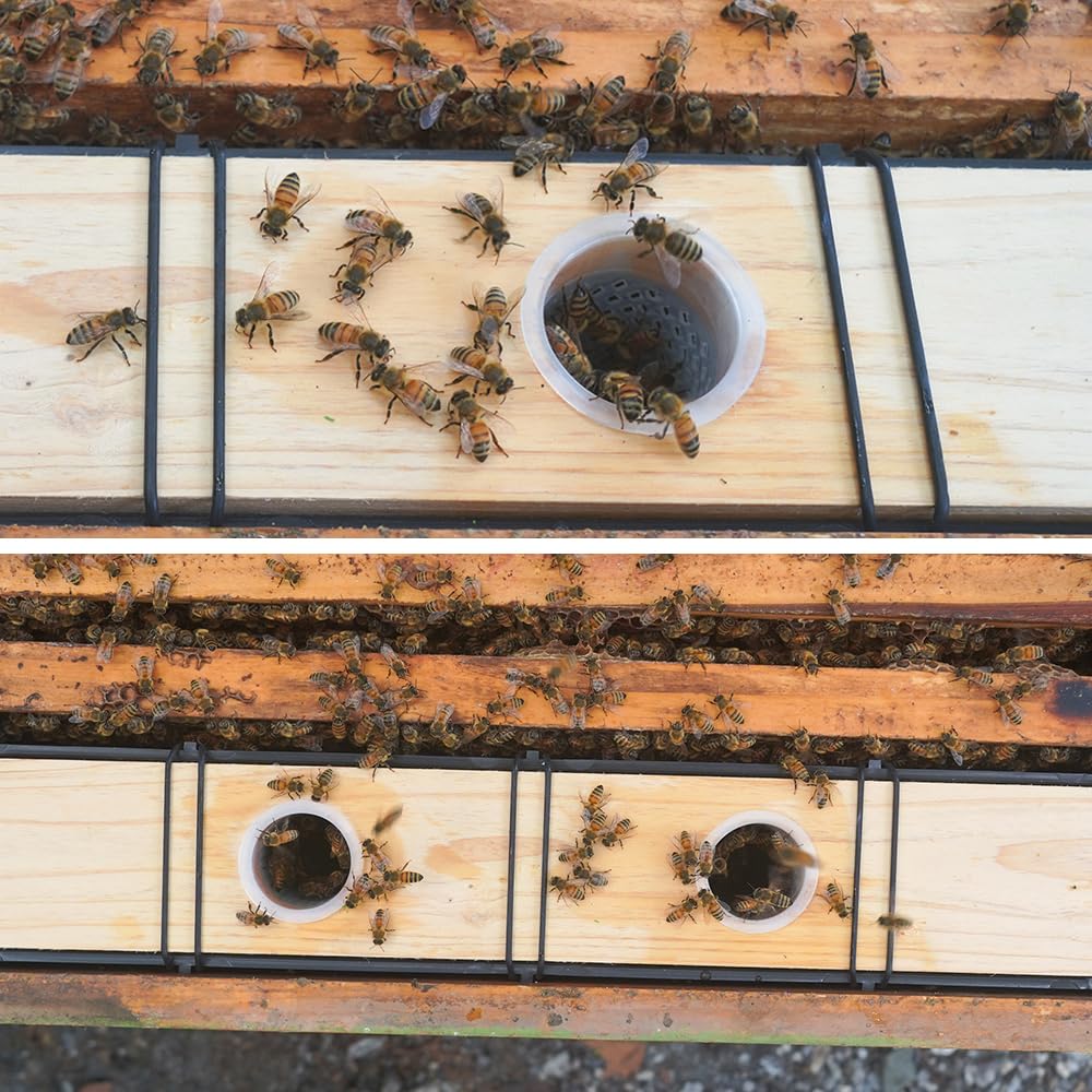 Aetwhy packaging of 2 pack beehive feeders ready for beekeeping