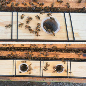 Aetwhy packaging of 2 pack beehive feeders ready for beekeeping