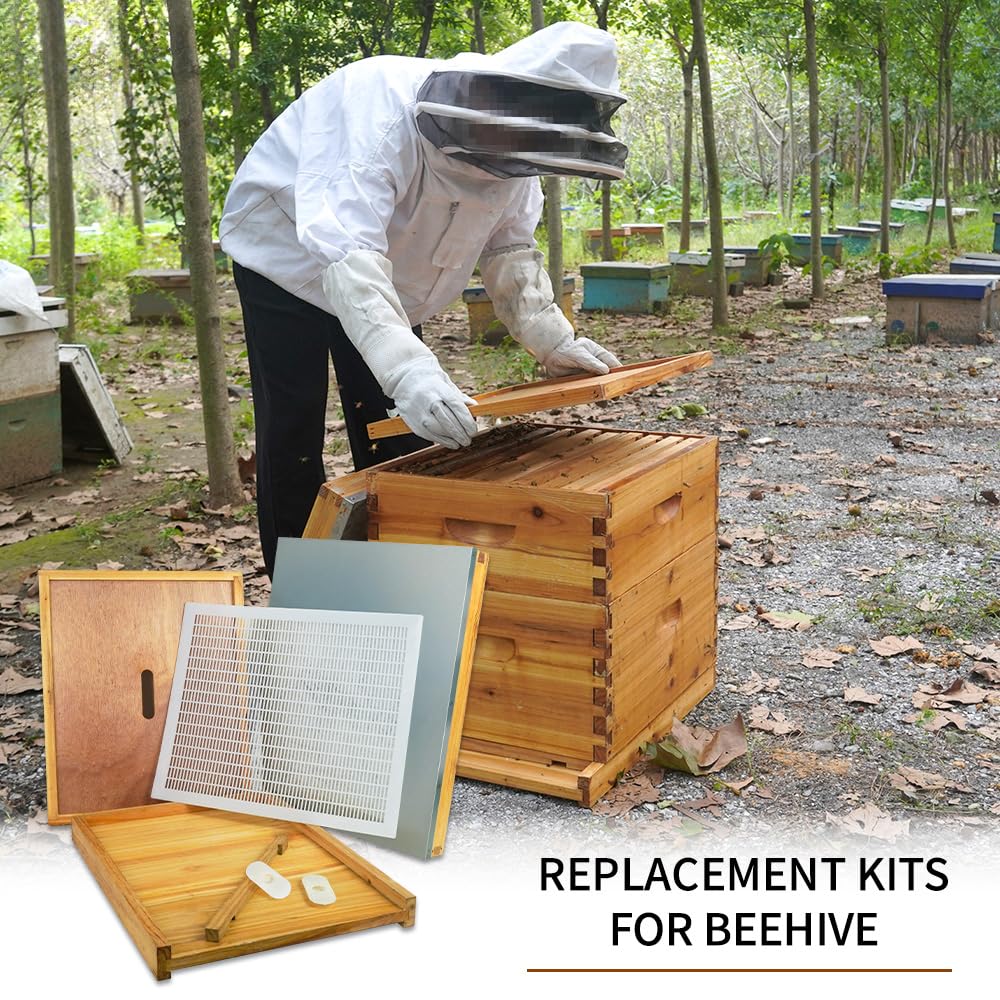 Aetwhy complete beehive parts kit arranged for easy setup