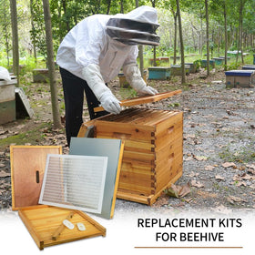 Aetwhy complete beehive parts kit arranged for easy setup