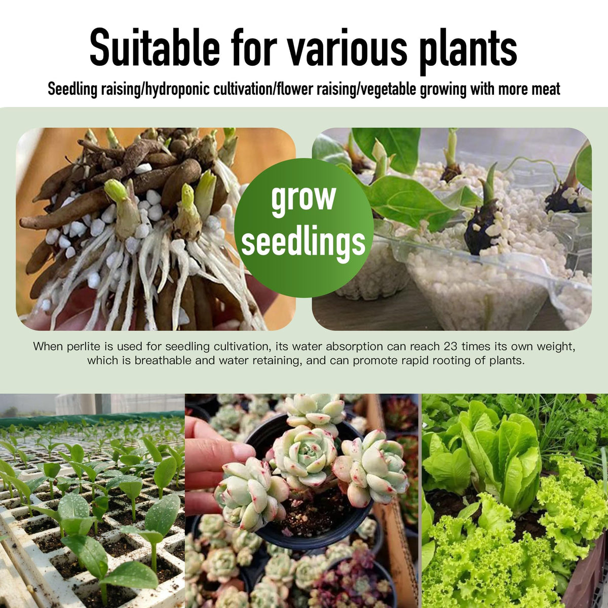 Afawall Gift perlite drainage improvement supports healthy potting mixes