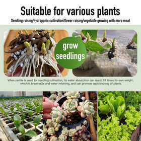 Afawall Gift perlite drainage improvement supports healthy potting mixes