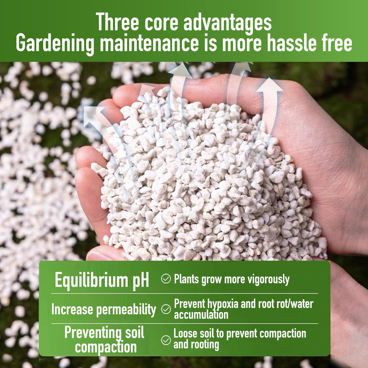 Afawall Gift perlite in hydroponic cups aiding drainage and moisture balance