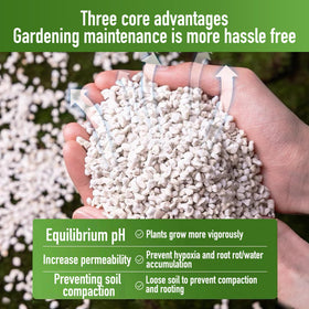 Afawall Gift perlite in hydroponic cups aiding drainage and moisture balance