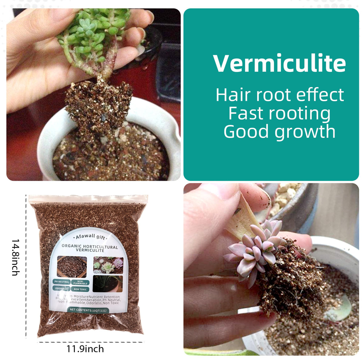 Afawall gift vermiculite as propagation medium, lightweight and easy to mix.