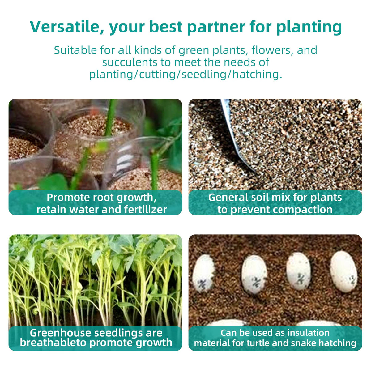 Afawall gift vermiculite used for seed starting, promoting even germination.