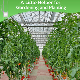 AFFLAT space-optimized trellis maximizing sunlight for compact gardens.