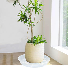 Afrine indoor outdoor plant saucer suitable for patio and hallway