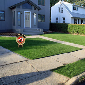Afuven bright gold and black pattern stands out on lawn