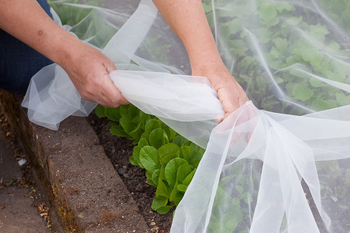 Agfabric breathable odorless netting letting water air sunlight reach crops.