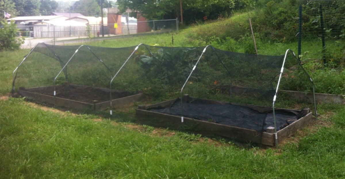 Agfabric shade cloth slows sun exposure while letting water through.